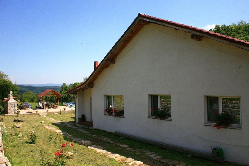 Hotel Cuibul Salamandrelor Sarmizegetusa Exterior foto