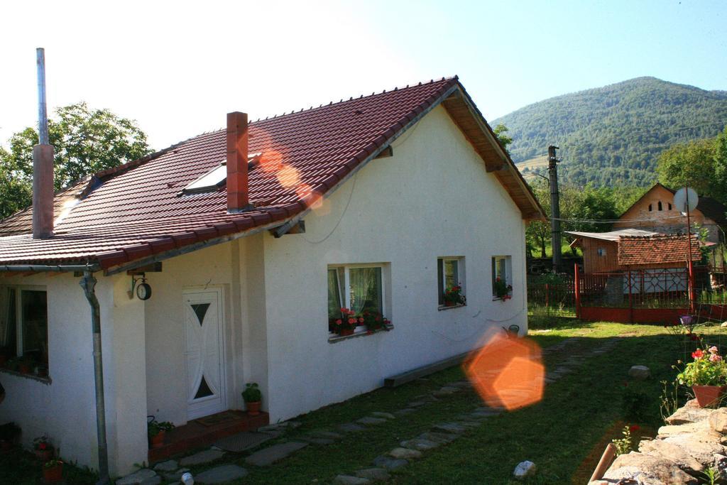 Hotel Cuibul Salamandrelor Sarmizegetusa Exterior foto